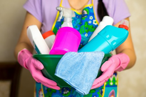 Chelsea Carpet Cleaners cookie policy introduction image