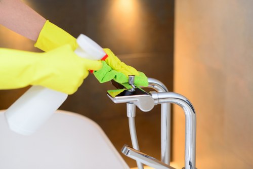 Professional pet stain odour removal in a Chelsea home