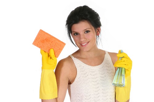 Carpet cleaning team preparing equipment safely before work