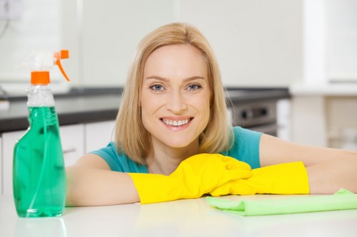 Portable carpet cleaning machine checked for safe operation