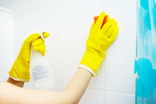 Deep steam carpet cleaning removing dirt and stains in Chelsea