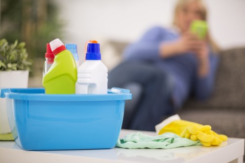 Reviewing a carpet cleaning complaint and service details