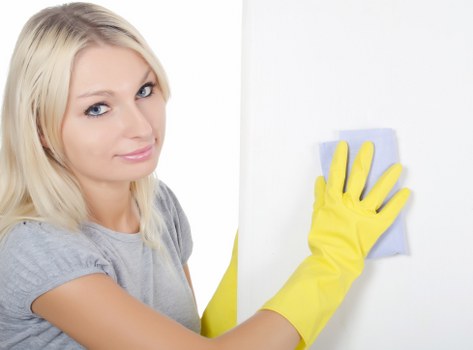 Specialist cleaning tools used for pet odour neutralisation